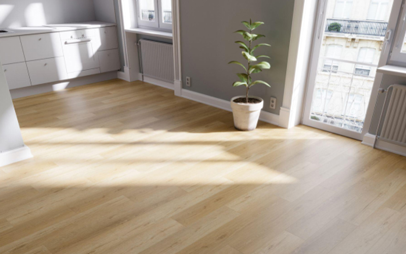 Sunlight streaming through windows onto an LVT floor in a modern interior space.